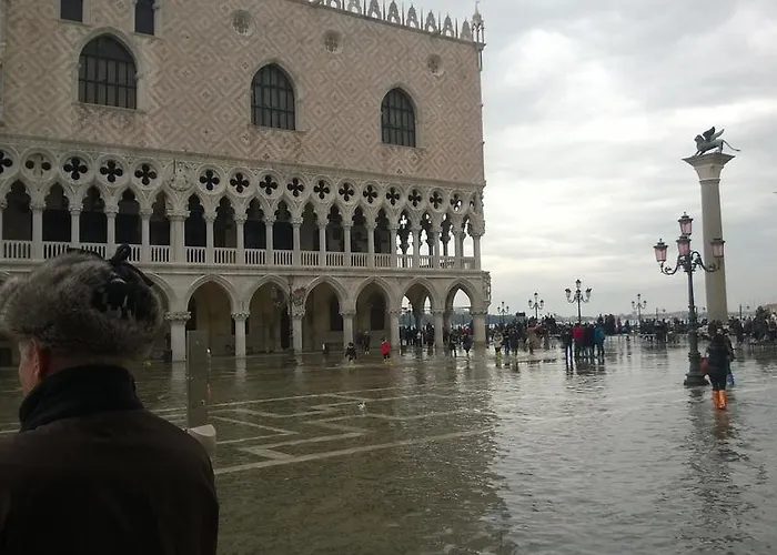 In Back To San Marco Tourist ונציה