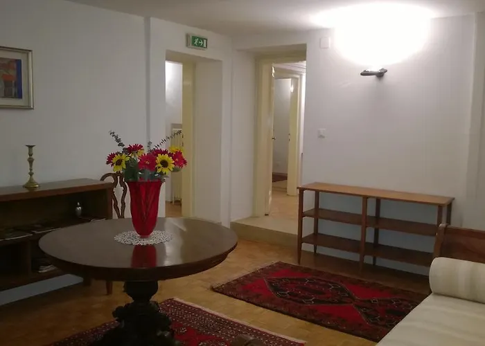 In Back To San Marco Tourist